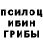 Псилоцибиновые грибы Psilocybine cubensis Wojciech Chmielinski