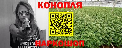 скорость Дубна