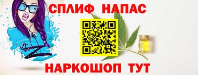 скорость Дубна