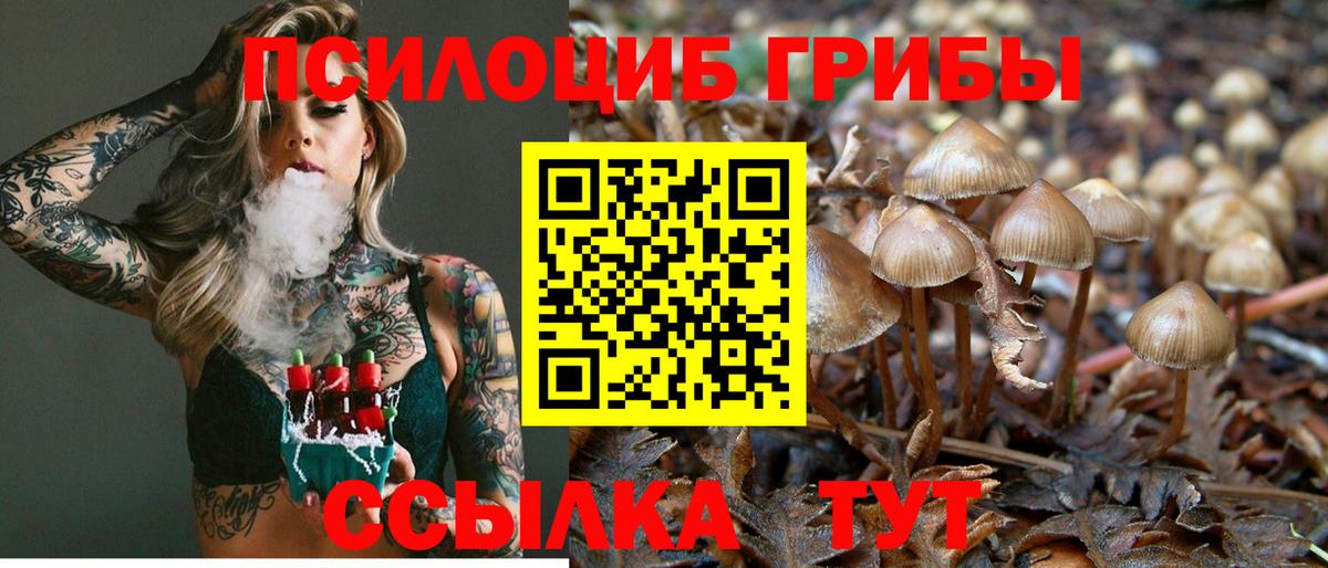 Евпатория  Галлюциногенные грибы Magic Shrooms  Вход с VPN 